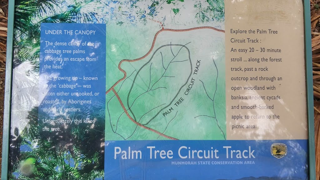 Palms Picnic Area | Frazer Park NSW 2259, Australia