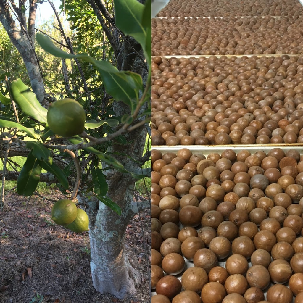 Maple Muesli / Sunshine Coast | 70 Valdora Rd, Yandina QLD 4561, Australia | Phone: 0413 844 623