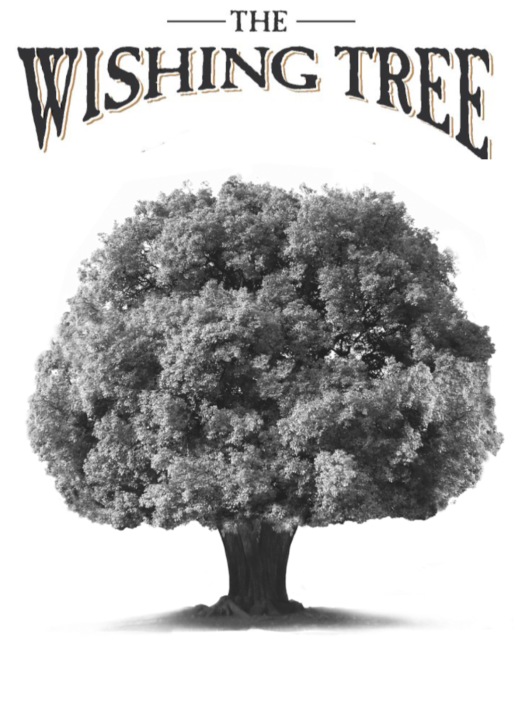 Nick Haselgrove Wines | 13 Blewitt Springs Rd, McLaren Flat SA 5171, Australia | Phone: 0419 383 907