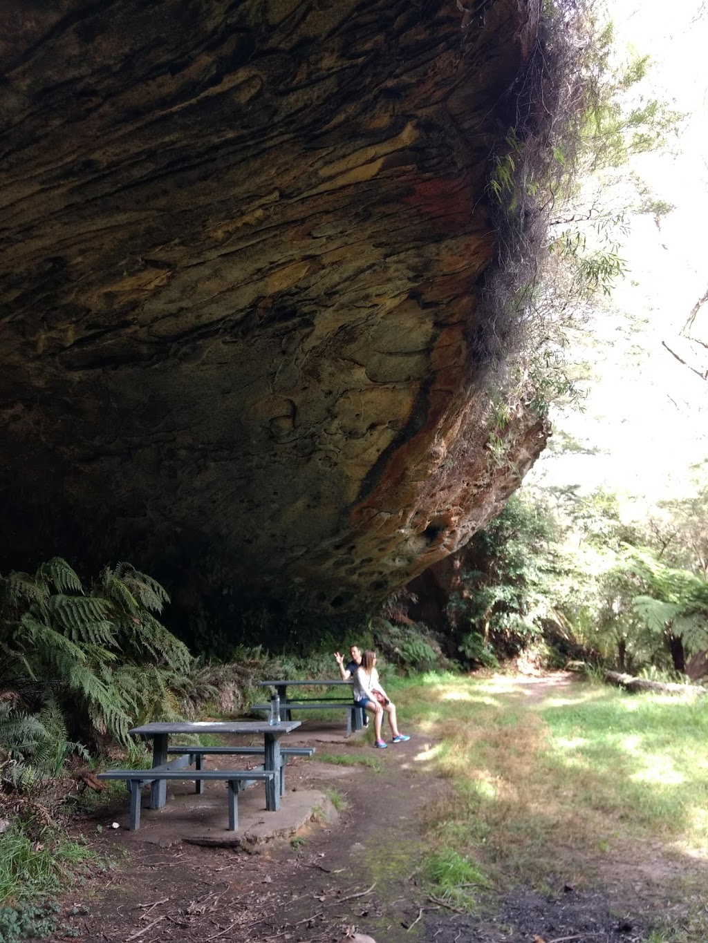 Lyrebird Dell Picnic Area | park | 36 Gordon Rd, Leura NSW 2780, Australia