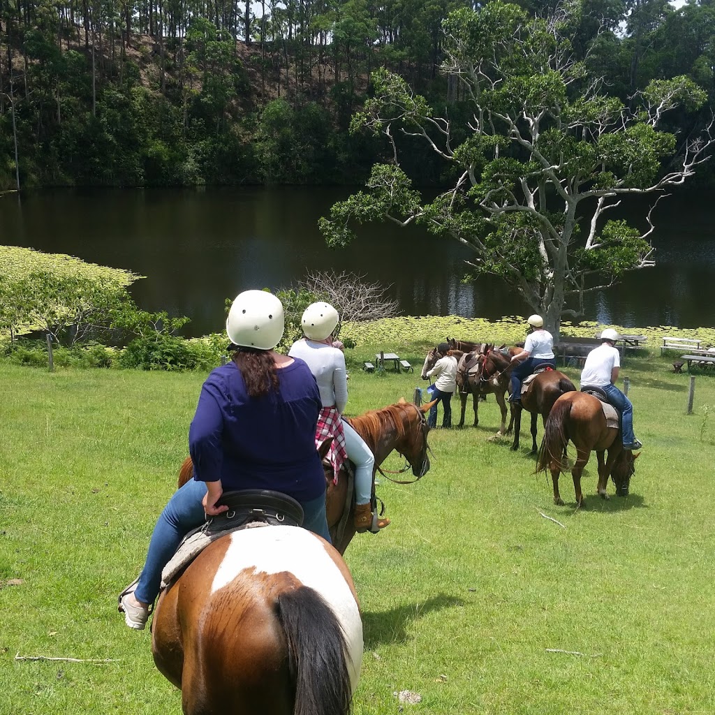 Slickers Horse Riding | travel agency | 190 Ocean View Rd, Ocean View QLD 4521, Australia | 0414877562 OR +62 414 877562
