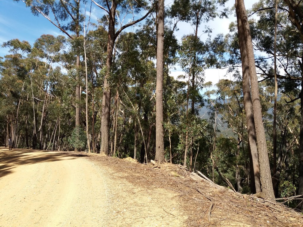 Budawang National Park | park | New South Wales, Australia