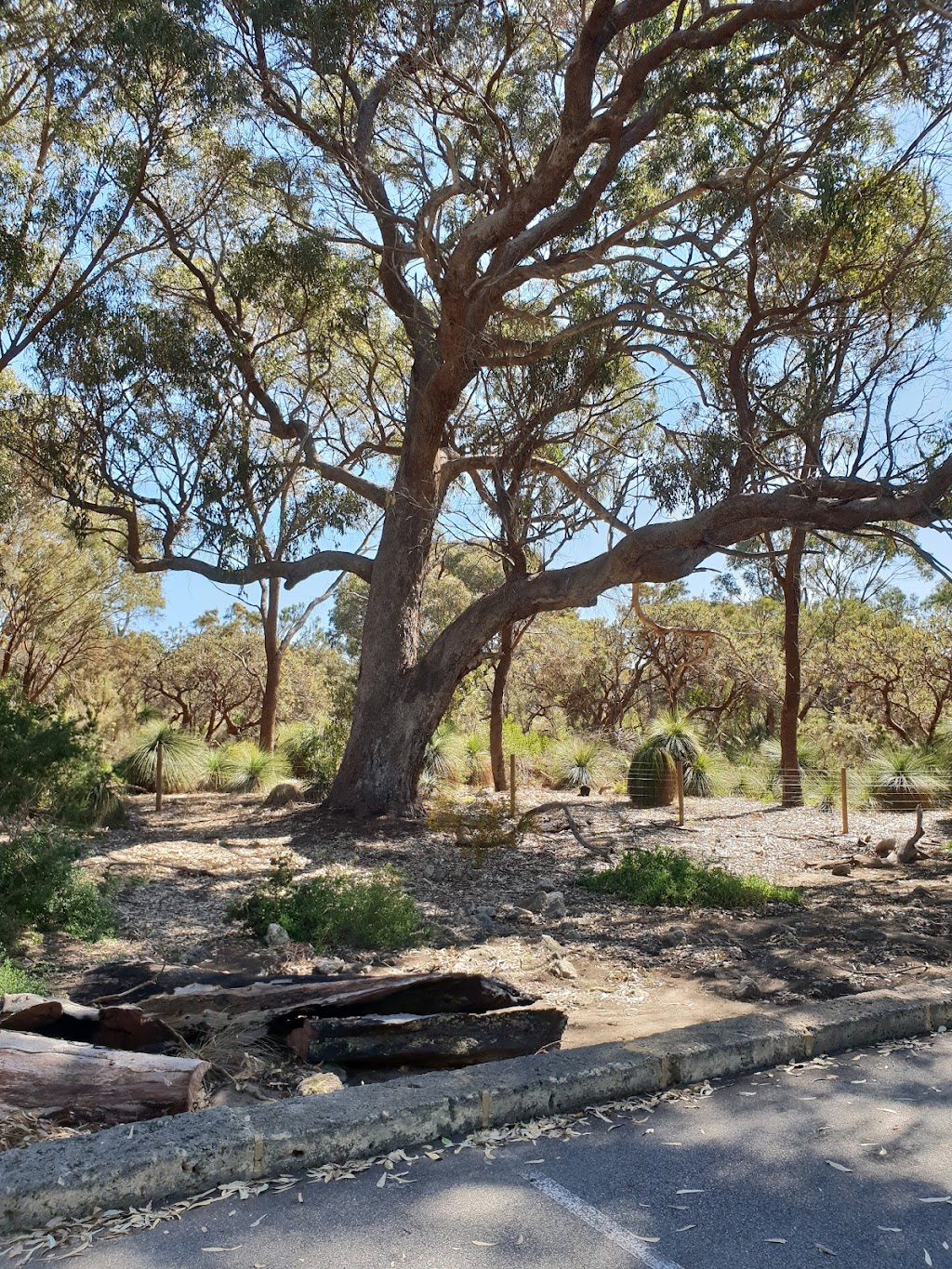 Henderson Environmental Centre | End of, Groat St, North Beach WA 6020, Australia | Phone: (08) 9205 8555