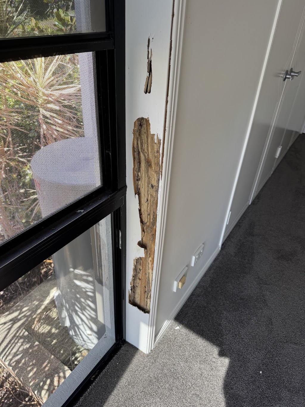 Rampart Pest Management | 65 Rifle Range Rd, Narangba QLD 4504, Australia | Phone: 0428 563 886