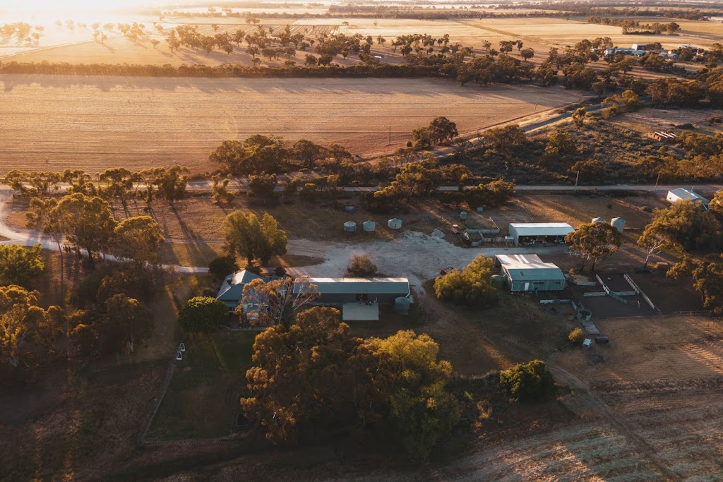 Blake Slatter Photography | 886 Boort-Yando Rd, Boort VIC 3537, Australia | Phone: 0431 476 971