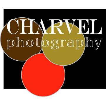 Charvel Photography | 140 Bowral St, Bowral NSW 2576, Australia | Phone: (02) 4861 3843