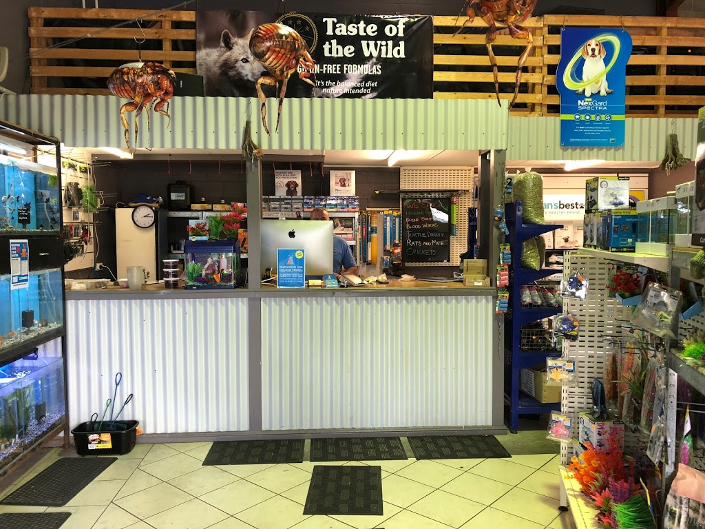 Bubble & Squeak Pet Shop | pet store | Unit 1 & 2/4 Church St, Maclean NSW 2463, Australia | 0266455625 OR +61 2 6645 5625