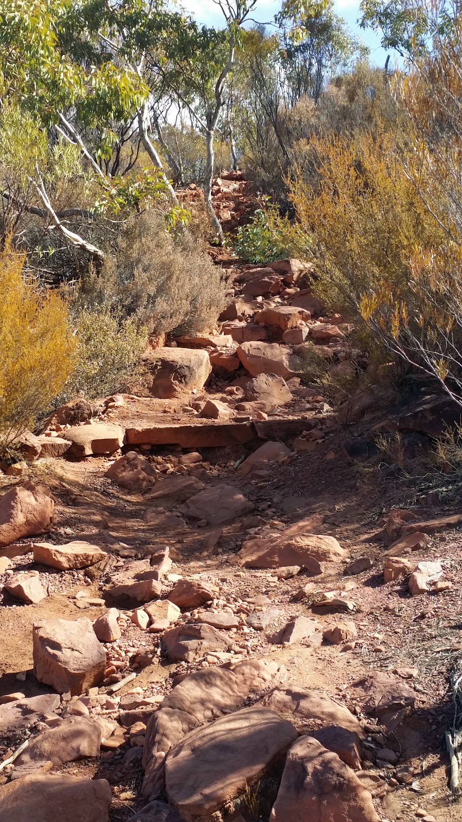 Ikara-Flinders Ranges National Park | park | Blinman SA 5730, Australia | 0886480048 OR +61 8 8648 0048