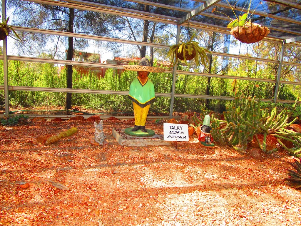 Bevans Cactus Nursery | Lightning Ridge NSW 2834, Australia | Phone: (02) 6829 2778