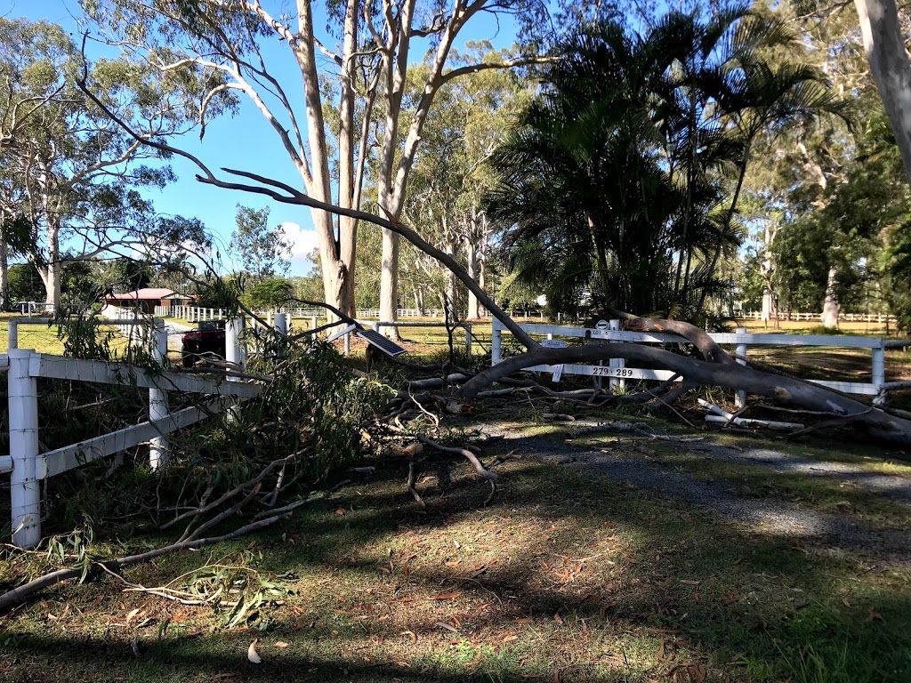 Dynamic Tree Solutions | Middle Rd, Greenbank QLD 4124, Australia | Phone: 1300 239 626