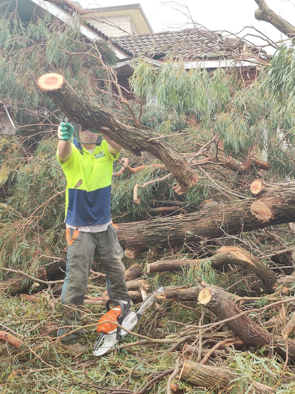 I Cut Tree Services | 18 Rowan Ave, Boronia VIC 3155, Australia | Phone: 0409 906 301