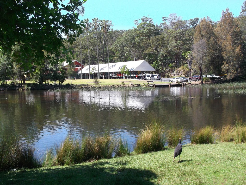 Audley Weir | Sir Bertram Stevens Dr, Royal National Park NSW 2233, Australia | Phone: (02) 9542 0648