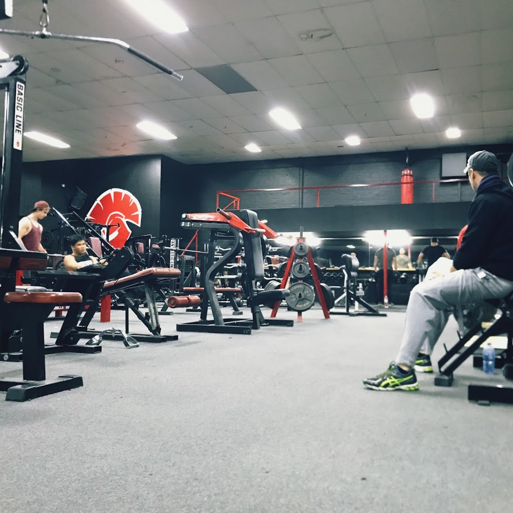 Spartans Gym | 502 Howitt Street, Ballarat North VIC 3350, Australia | Phone: (03) 5333 4333