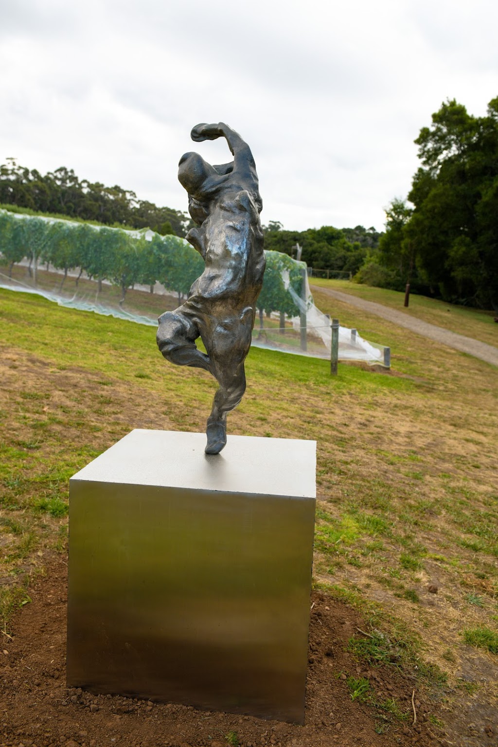Montalto Sculpture Trail | 33 Shoreham Rd, Red Hill South VIC 3937, Australia | Phone: (03) 5989 8412