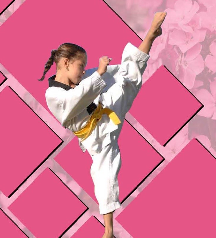 Progress Martial Arts & Fitness Academy for Kids & Teens in Crai | 40 Waterview Blvd, Craigieburn VIC 3064, Australia | Phone: 0410 570 765