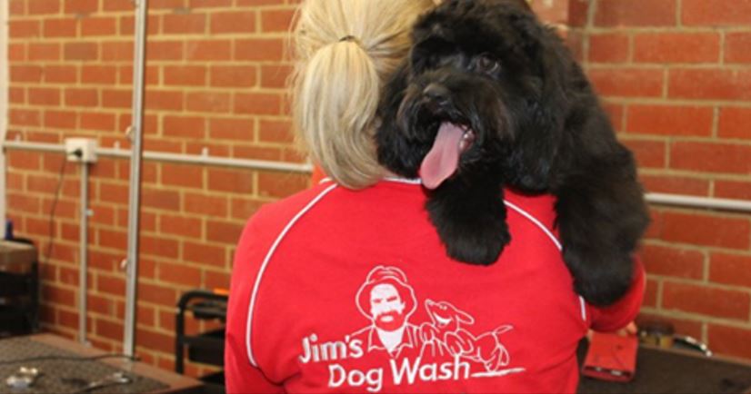 Jims Dog Wash |  | 48 Edinburgh Rd, Mooroolbark VIC 3138, Australia | 131546 OR +61 131546