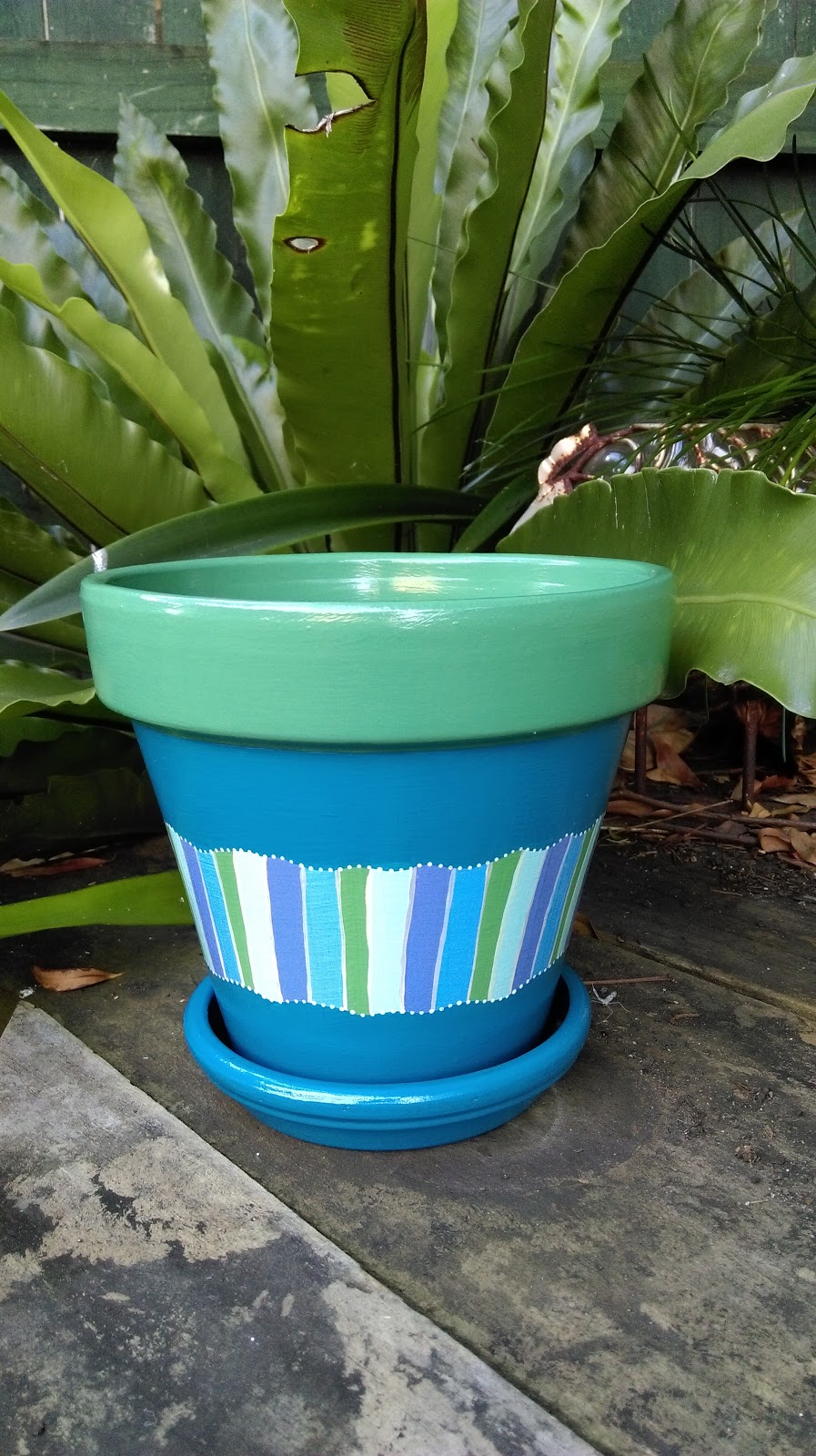 Dots On Pots | 44 Neptune St, Springfield Lakes QLD 4300, Australia | Phone: 0402 090 205