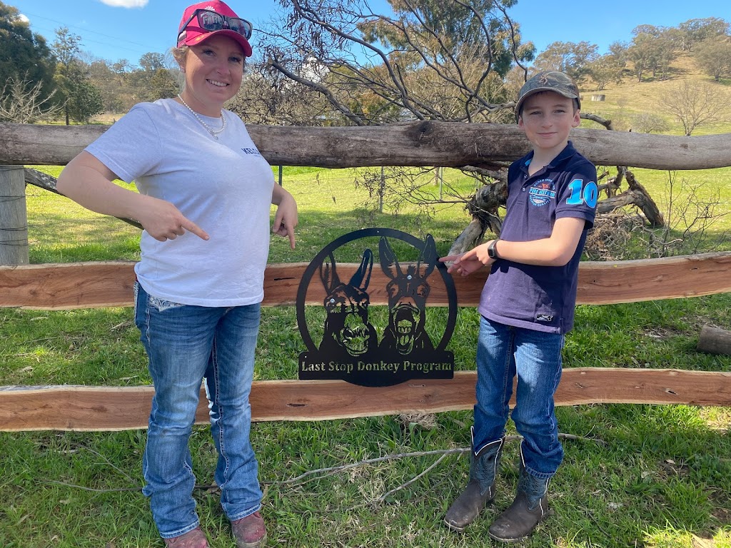 Last Stop Donkey Program | 119A Minimbah Dr, Whittingham NSW 2330, Australia | Phone: 0400 622 244