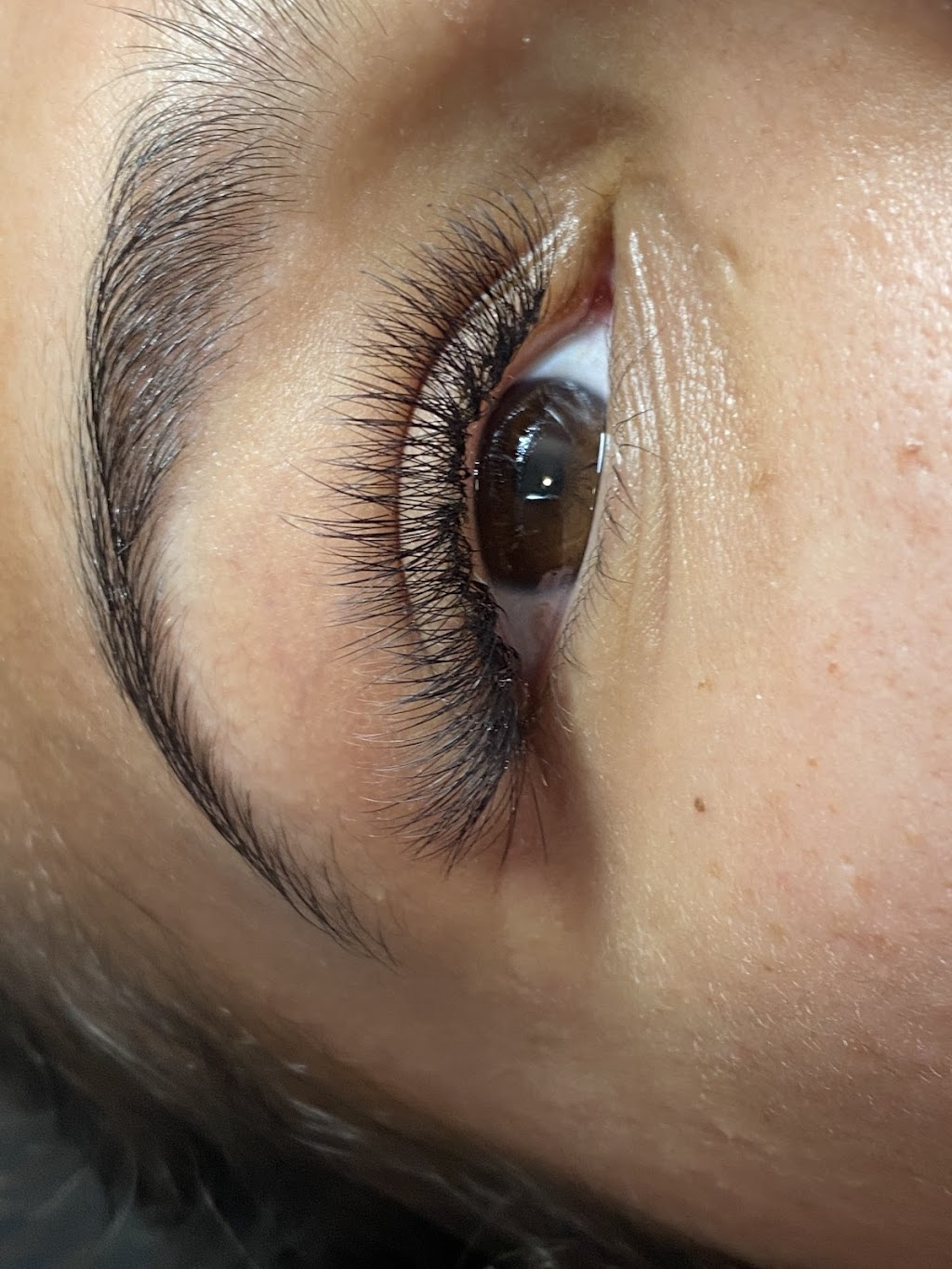 Lamphoon Lashes | 3 Gamma Pl, Bridgeman Downs QLD 4035, Australia | Phone: 0423 468 757