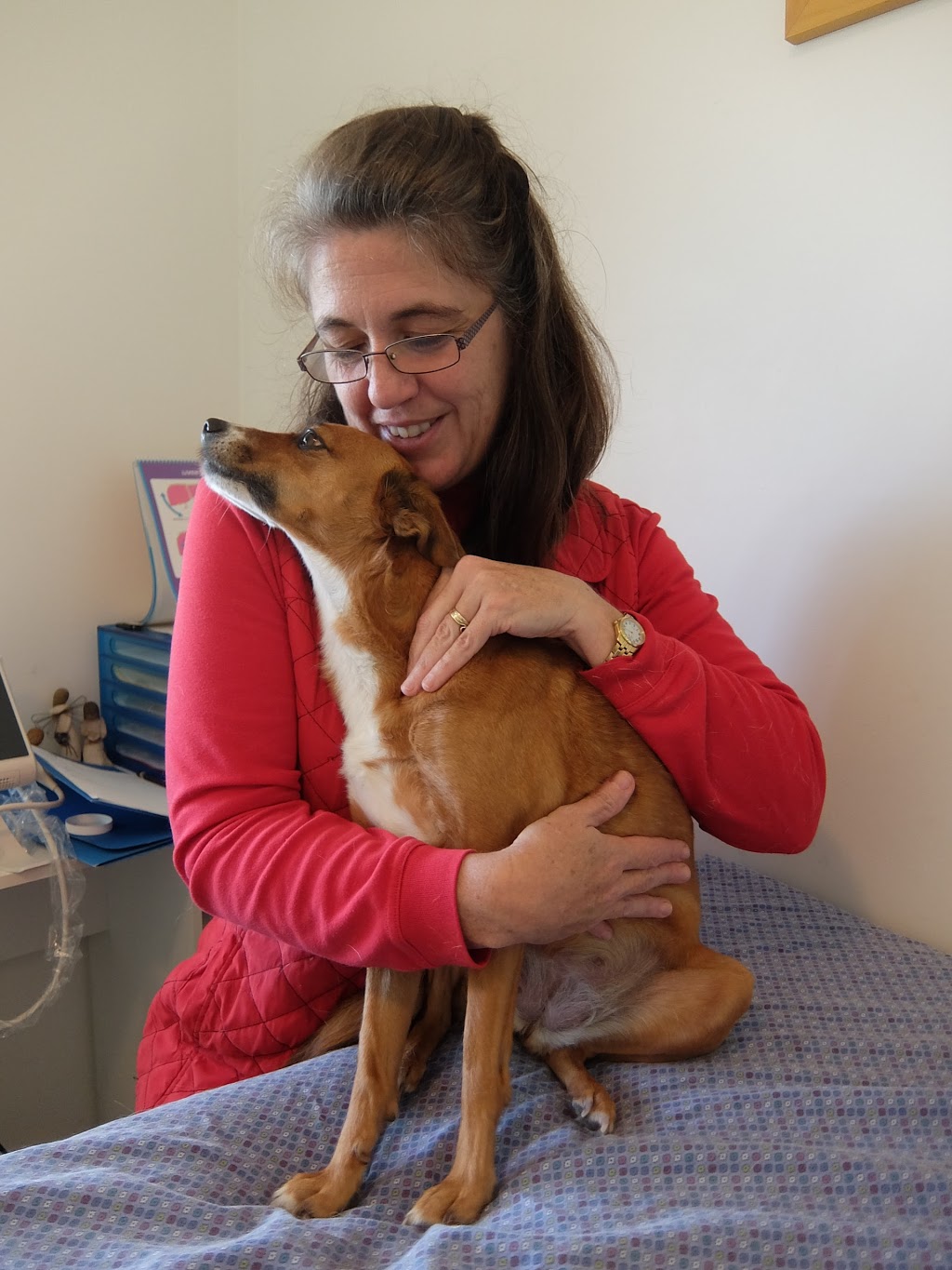 TLC Veterinary Rehabilitation | veterinary care | 58 Nadi Ln, North Maleny QLD 4552, Australia | 0408743595 OR +61 408 743 595