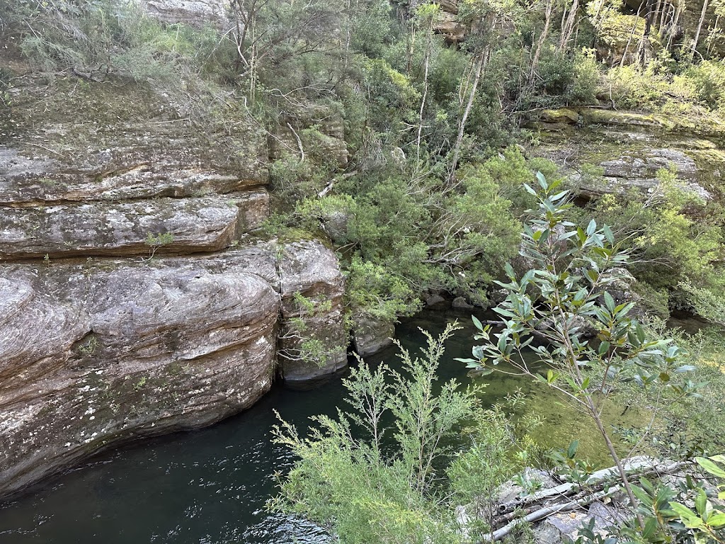 Wollemi Wanders | Bushwalks and Canyoning | 16 Church Ln, Mount Wilson NSW 2786, Australia | Phone: 0436 107 829