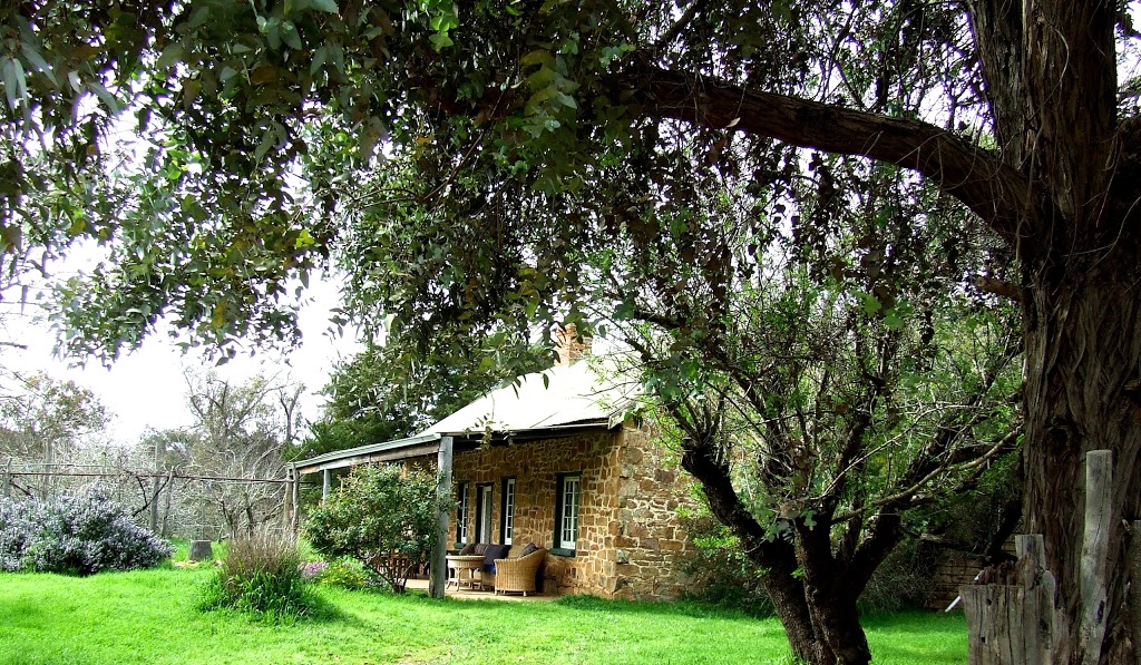 Williams River Farm Stay | lodging | 10845 Pinjarra-Williams Rd, Williams WA 6391, Australia | 0898851181 OR +61 8 9885 1181