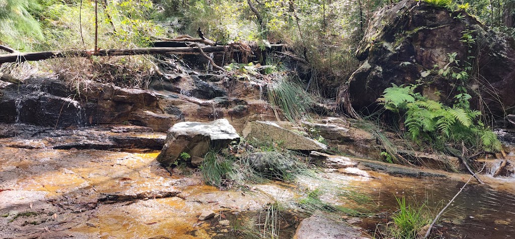 Connect Adventures - Gidjuum Gulganyi Walk | Minyon Dr, Whian Whian NSW 2480, Australia | Phone: 0492 981 811