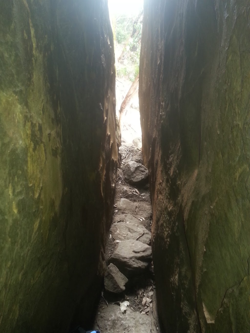 Wells Cave Track | park | Wells Cave Track, Taggerty VIC 3714, Australia