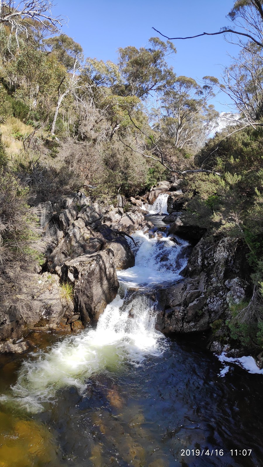 Kosciuszko National Park | park | New South Wales, Australia | 0264505600 OR +61 2 6450 5600