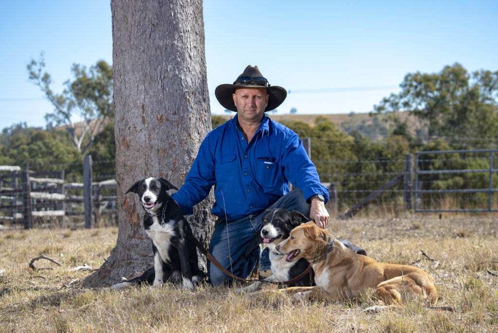 Bobb n Co Working Dog Services (Herding Dog Training) | 7900 Brisbane Valley Highway, Yimbun QLD 4313, Australia | Phone: 0439 812 010