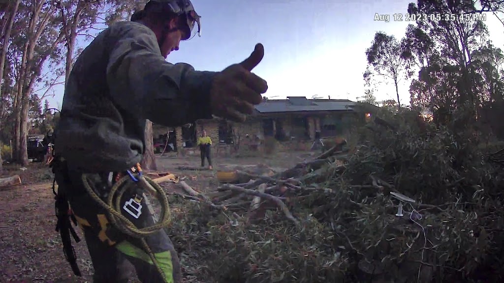 SKYTASK TREE SERVICES | 1 Lynches Rd, Armidale NSW 2350, Australia | Phone: 0491 737 883