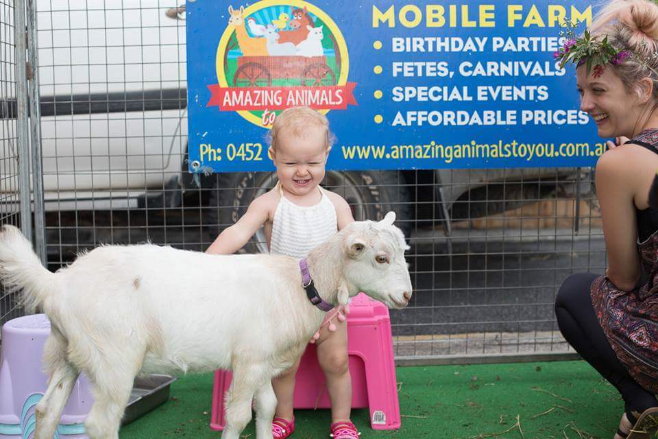 Amazing Animals To You | zoo | 158 King Rd, Elimbah QLD 4516, Australia | 0452646257 OR +61 452 646 257