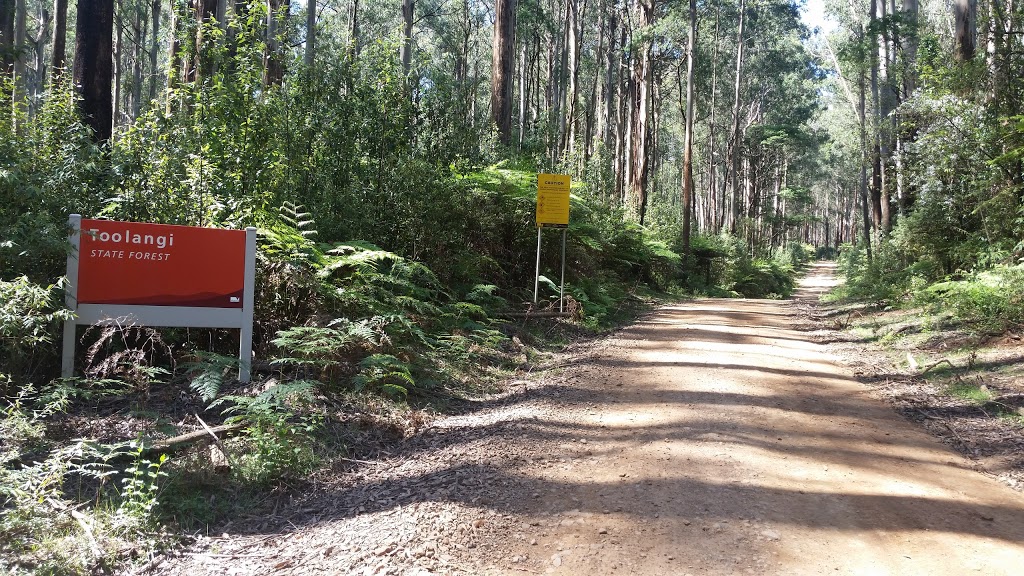 Camp Toolangi |  | 235 Spraggs Rd, Toolangi VIC 3777, Australia | 0359629219 OR +61 3 5962 9219