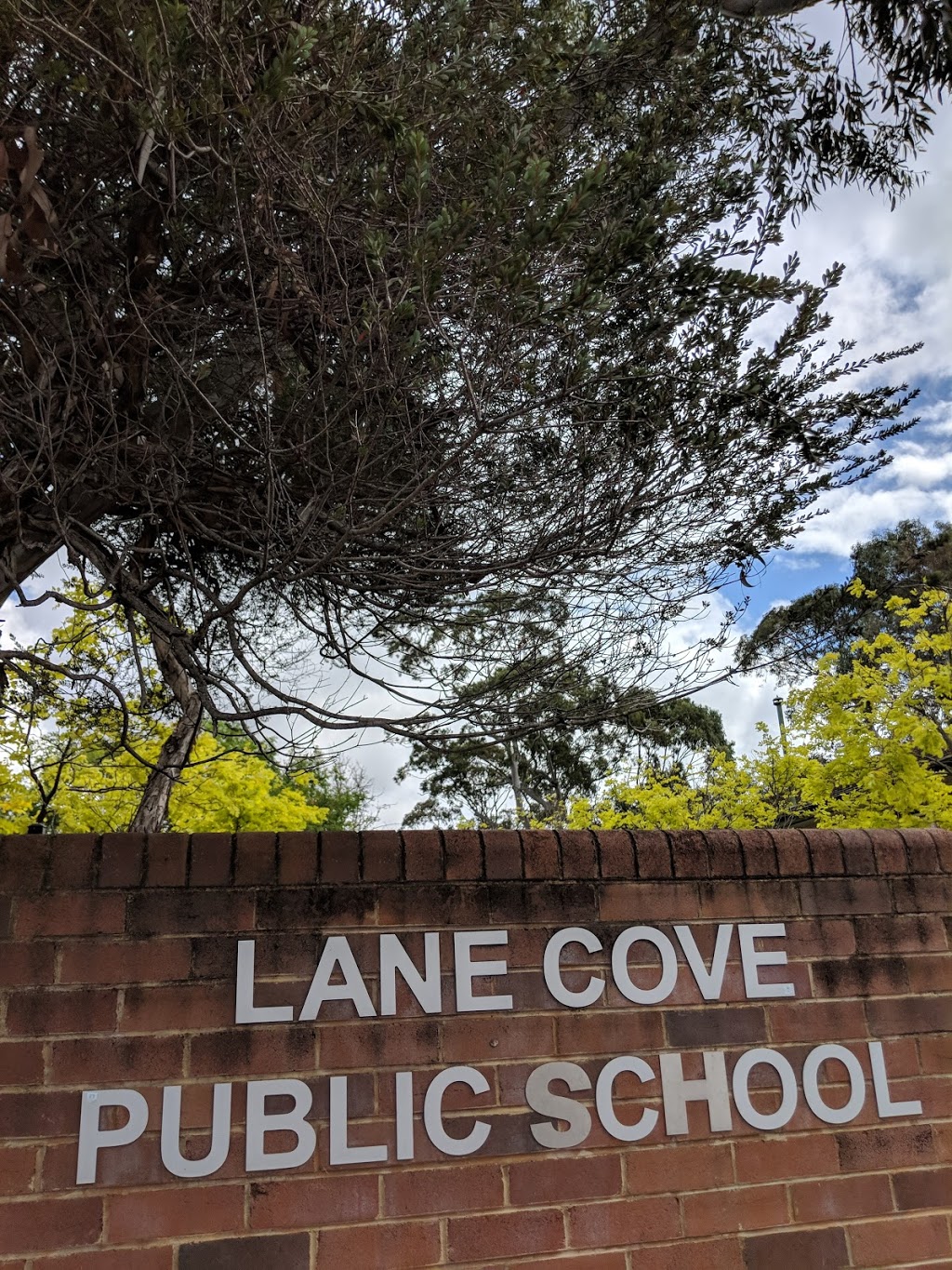 Lane Cove Public School | school | 145-153 Longueville Rd, Lane Cove NSW 2066, Australia | 0294272155 OR +61 2 9427 2155