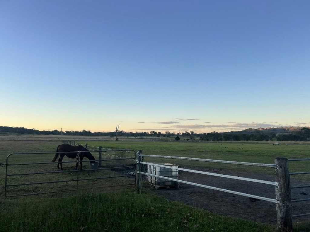 Someday Racing & Breeding | 363 Round Mountain Rd, Laravale QLD 4285, Australia | Phone: 0435 382 443