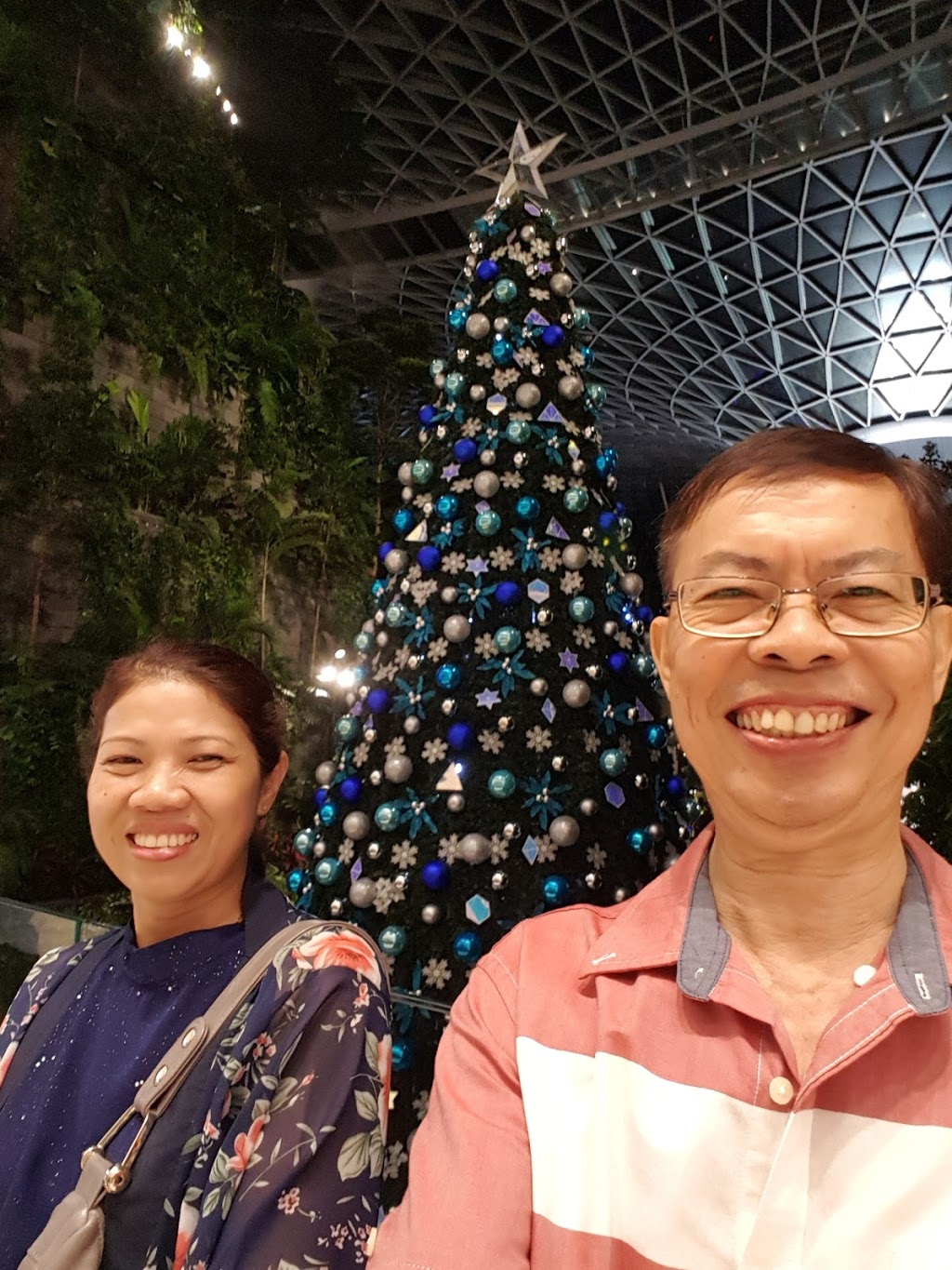 T3 Changi Singapore airport | Jewells NSW 2280, Australia