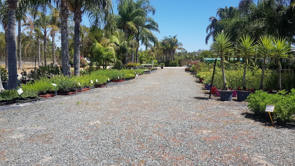 Mandurah Nursery |  | 25 Lymon Rd, Stake Hill WA 6181, Australia | 0407702132 OR +61 407 702 132