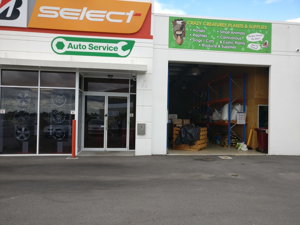 Bridgestone Select Tyre & Auto | car repair | 11/13 Fletcher Rd, Bethania QLD 4205, Australia | 0738052766 OR +61 7 3805 2766