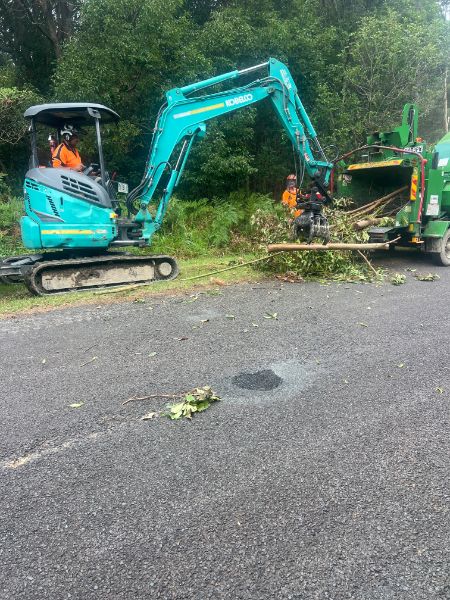 TreeLink Northern Rivers | 48 Orana Rd, Ocean Shores NSW 2483, Australia | Phone: 0499 550 396