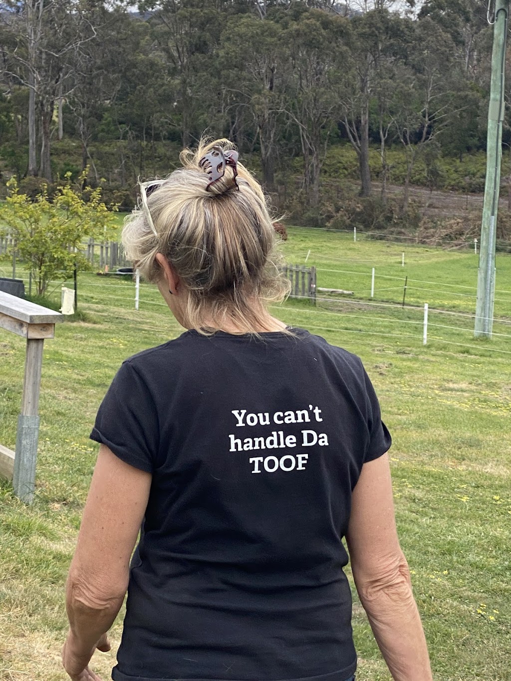 Advanced Equine Dentistry | 245 Gellibrand Dr, Sandford TAS 7020, Australia | Phone: 0418 598 621