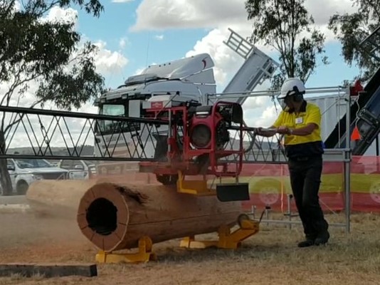 Goodwood Mobile Sawmills | 31 Webbs Rd, Redridge QLD 4660, Australia | Phone: (07) 4126 8249