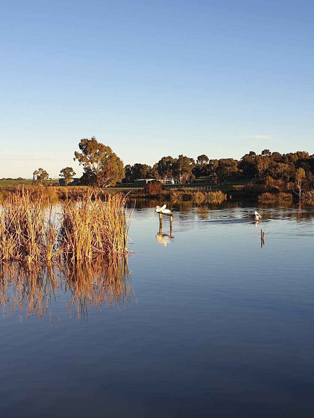 Swanport Wetlands | park | Boardwalk, Monteith SA 5253, Australia