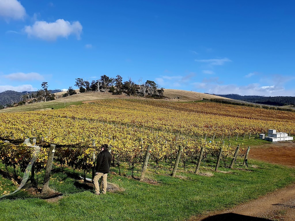 Budburst Wine Collective | 18 Surf Rd, Seven Mile Beach TAS 7170, Australia | Phone: 0480 292 764