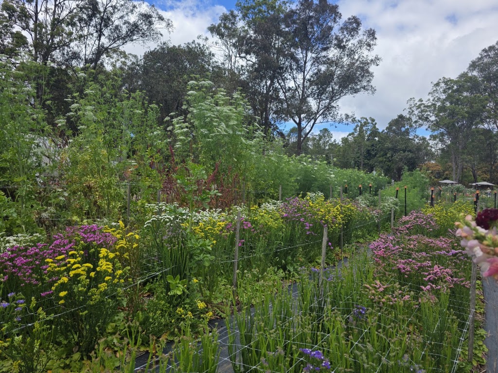 Curlew Ridge Farms | 133 McCabe Rd, Stanmore QLD 4514, Australia | Phone: 0418 983 848