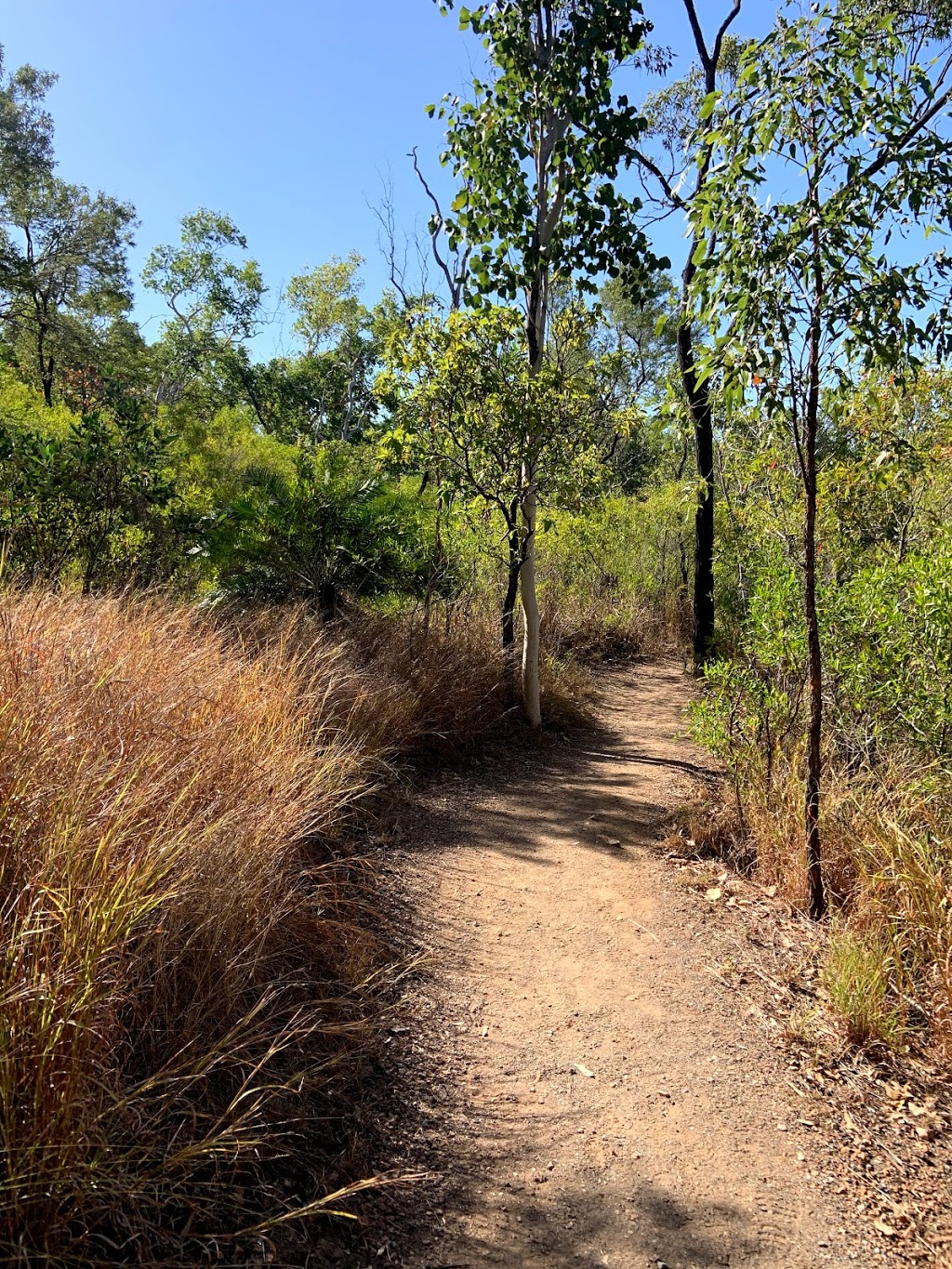 Alligator Creek Campground - Queensland national park | campground | Unnamed Road, Mount Elliot QLD 4816, Australia