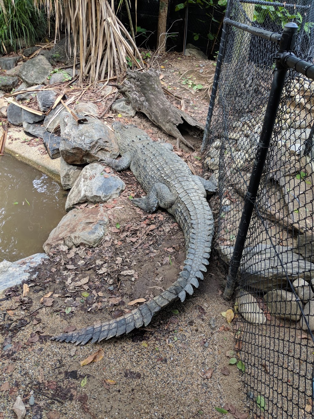 Wildlife Habitat | Port Douglas Rd, Port Douglas QLD 4877, Australia | Phone: (07) 4099 3235