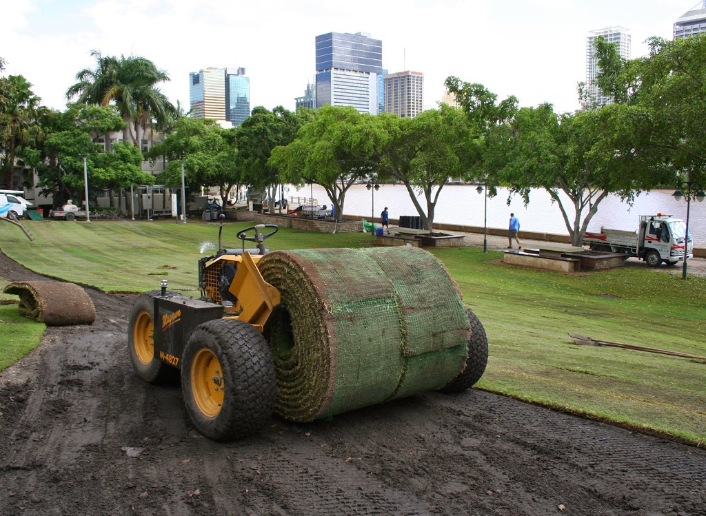 All Turf Solutions | 2125 Beaudesert Beenleigh Rd, Tamborine QLD 4270, Australia | Phone: (07) 5543 8304