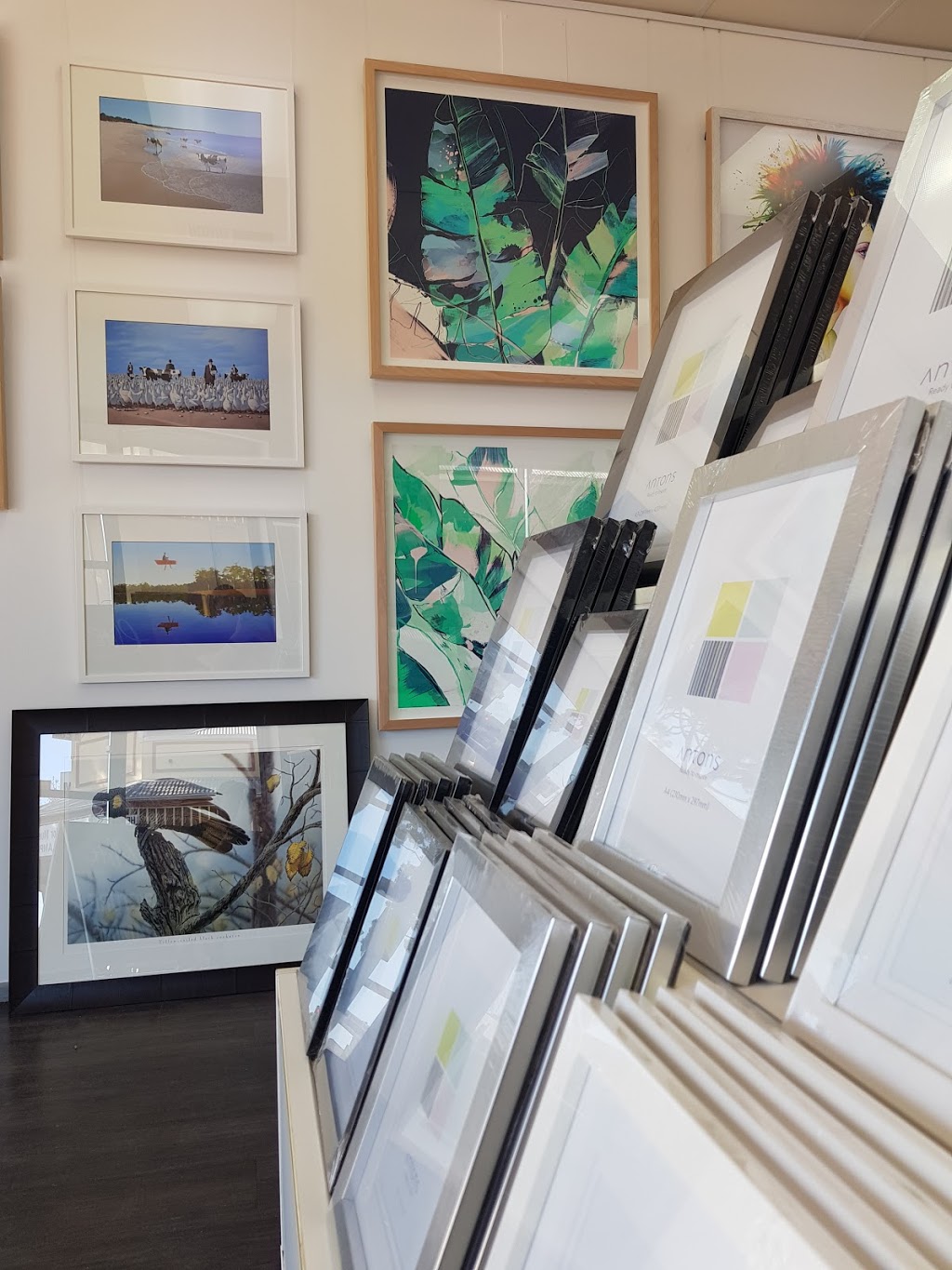 Elite Picture Framing Mile End | store | 183a Henley Beach Rd, Mile End SA 5031, Australia | 0882347387 OR +61 8 8234 7387