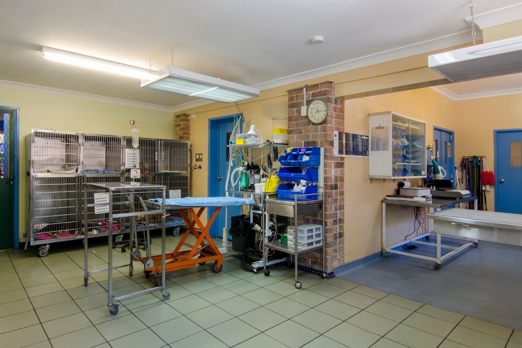 AniMals at Oakey Flat | veterinary care | 527 Oakey Flat Rd, Morayfield QLD 4506, Australia | 0738866565 OR +61 7 3886 6565