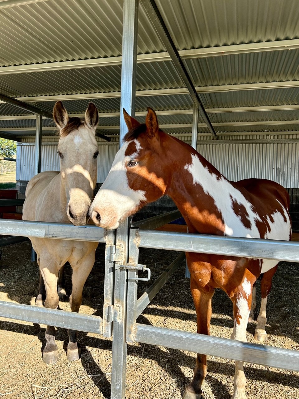 Pindari Equine Assisted Therapy and Counselling | 392 Prenzlau Rd, Prenzlau QLD 4311, Australia | Phone: 0422 140 378